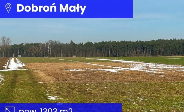 działka na sprzedaż - Dobroń, Dobroń Mały