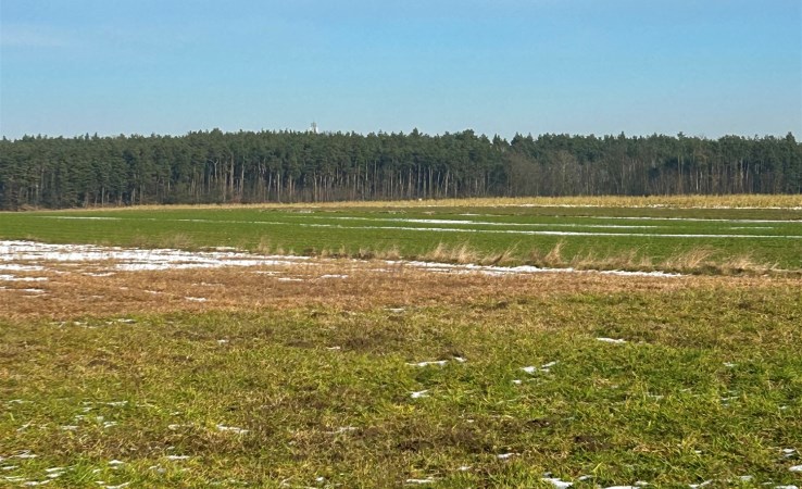 działka na sprzedaż - Dobroń, Dobroń Mały