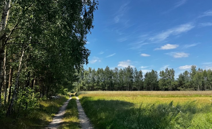 działka na sprzedaż - Sędziejowice, Kustrzyce