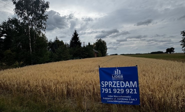 działka na sprzedaż - Wodzierady