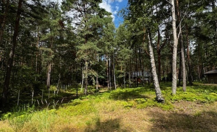 działka na sprzedaż - Zelów (gw), Jamborek