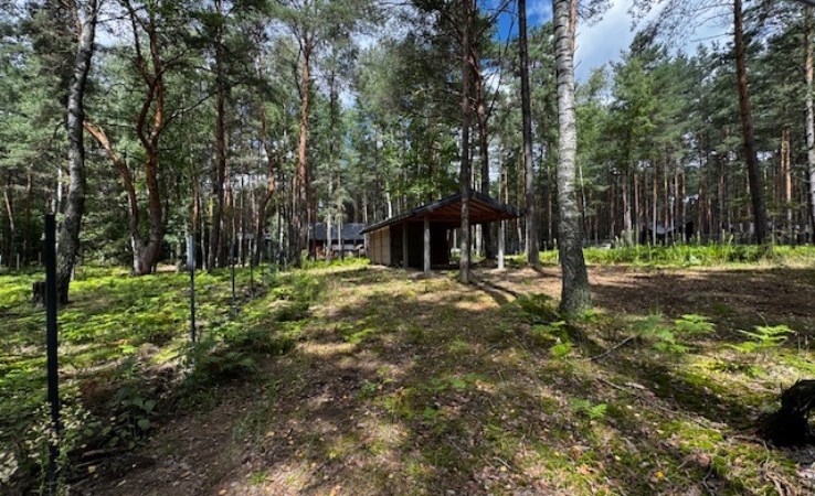 działka na sprzedaż - Zelów (gw), Jamborek