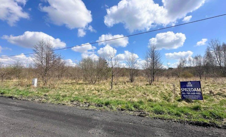 działka na sprzedaż - Pabianice (gw), Rydzyny