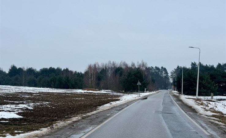 działka na sprzedaż - Pabianice (gw), Bychlew