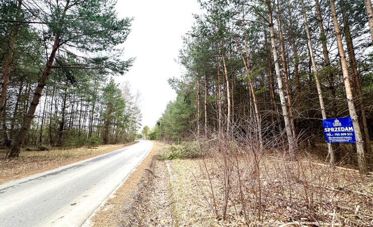 działka na sprzedaż - Wodzierady, Mauryców, Marianów