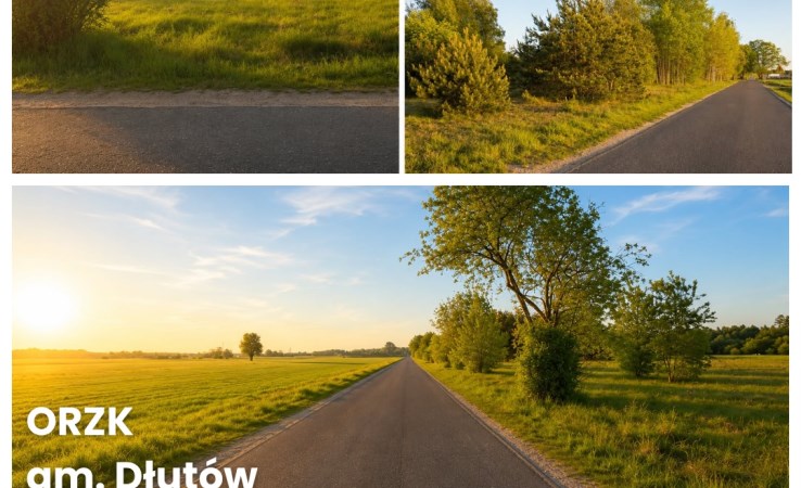 działka na sprzedaż - Dłutów, Orzk