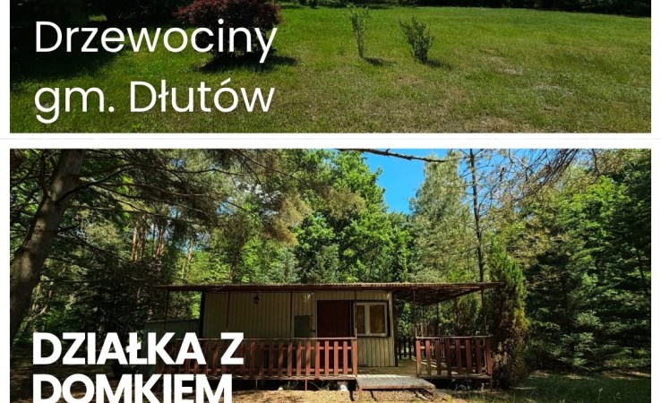 działka na sprzedaż - Dłutów, Drzewociny