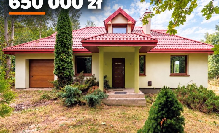 dom na sprzedaż - Aleksandrów Łódzki